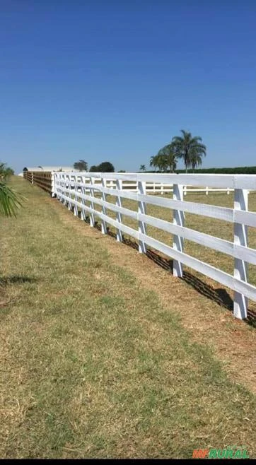 TINTAS PARA CURRAIS GALÃO DE 18 LITROS COR BRANCO