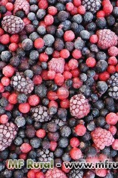 Morangos Congelados Imagem Morangos Congelados