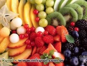 Compro frutas Vermelhas acerola e abacaxi, fresca ou congeladas direto do produtor