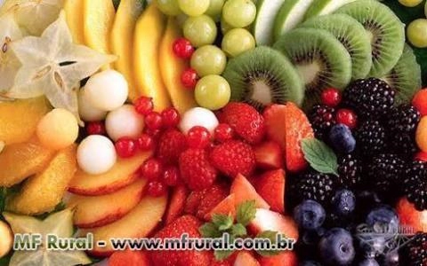 Compro frutas Vermelhas acerola e abacaxi, fresca ou congeladas direto do produtor Imagem Compro frutas Vermelhas acerola e abacaxi, fresca ou congeladas direto do produtor