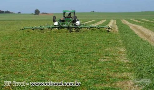 SILAGEM PRÉ-SECADA DE AVEIA