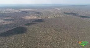 Fazenda para soja no cerrado piauiense