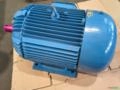 Motor Elétrico Eberle 50 Cv Trifásico 1700 Rpm 4 Polos Recondicionado Rebobinado Imagem Motor Elétrico Eberle 50 Cv Trifásico 1700 Rpm 4 Polos Recondicionado Rebobinado
