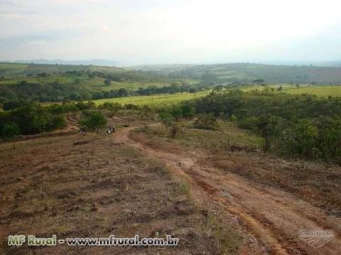 SITIO NO GUAPÉ EXCELENTE PARA LAZER, CAFÉ, EUCALIPTO E PECUÁRIA