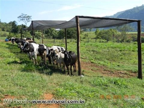 Imagem SOMBRITE 80% TELA PARA GADO Imagem SOMBRITE 80% TELA PARA GADO
