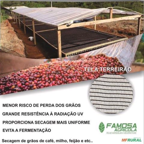 Imagem Tela terreiro suspenso café Imagem Tela terreiro suspenso café