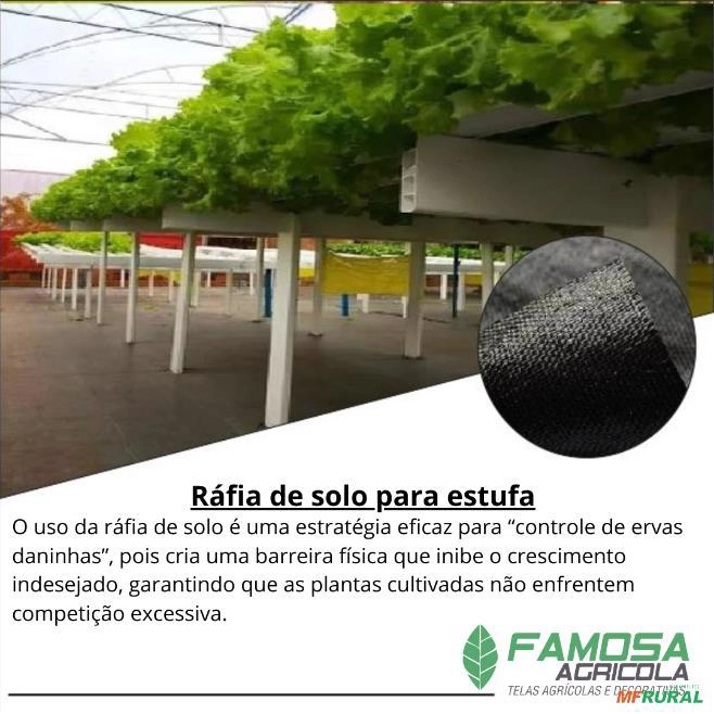Rafia de Solo Preta em São Paulo SP à venda. Compre direto 842457