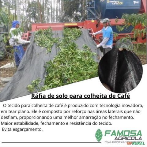 Rafia Para Colheita de Café em Maquina em São Paulo SP à venda. 871076