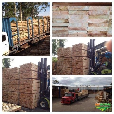 MADEIRA DE EUCALIPTO SERRADA SECA Imagem MADEIRA DE EUCALIPTO SERRADA SECA