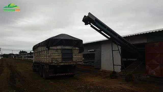 Cama de frango a retirar...só adubo forte...ótimo preço..fornecemos o carregamento direto da granja