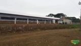 Cama de frango a retirar...só adubo forte...ótimo preço..fornecemos o carregamento direto da granja Imagem Cama de frango a retirar...só adubo forte...ótimo preço..fornecemos o carregamento direto da granja