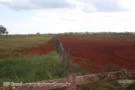 Fazenda de lavoura na região de Miranorte do Tocantins, Miracema, 120 km de Palmas - Tocantins