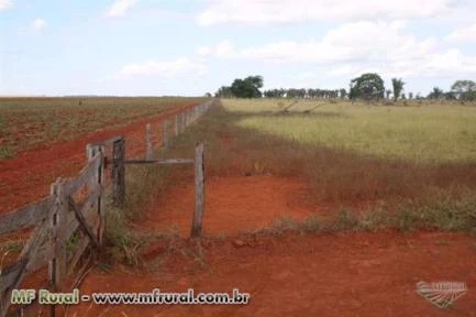 Fazenda de lavoura na região de Miranorte do Tocantins, Miracema, 120 km de Palmas - Tocantins