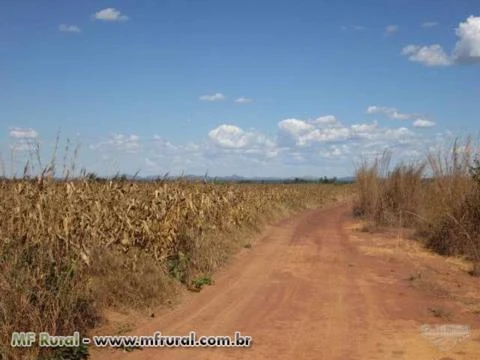 Fazenda para agricultura em Brejinho de Nazaré, Aliança do Tocantins