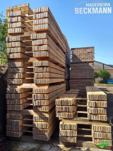 Imagem Madeira serrada eucalipto (grandis) Imagem Madeira serrada eucalipto (grandis)