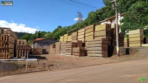 Madeira serrada eucalipto (grandis) Imagem Madeira serrada eucalipto (grandis)