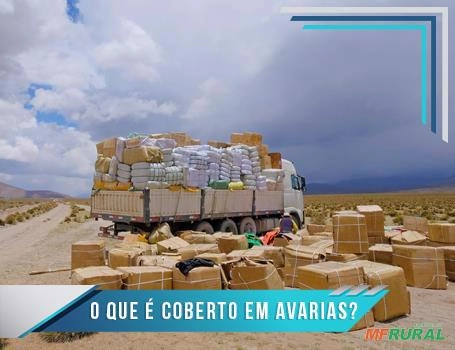 COMPRAMOS CARGAS AVARIADAS TOMBADAS DE SEGURADORAS Imagem COMPRAMOS CARGAS AVARIADAS TOMBADAS DE SEGURADORAS
