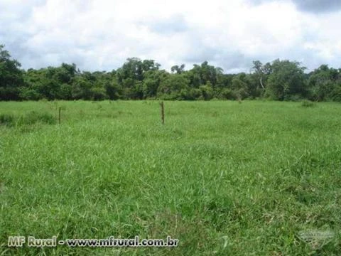 SÍTIO/FAZENDA 76,23 HECTARES NO MUNICÍPIO DE JACUPIRANGA- SP