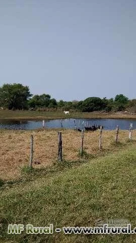 Fazenda no pantanal Paiaguas
