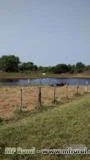Fazenda no pantanal Paiaguas