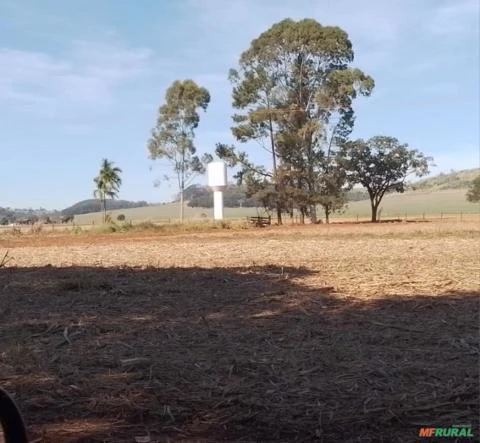 Sítio Serra Azul Região Ribeirão Preto