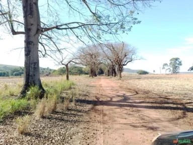 Sítio Serra Azul Região Ribeirão Preto