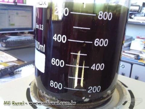 PROCURO SOCIO INVESTIDOR P/ FABRICA DE OLEOS VEGETAIS; Imagem PROCURO SOCIO INVESTIDOR P/ FABRICA DE OLEOS VEGETAIS;