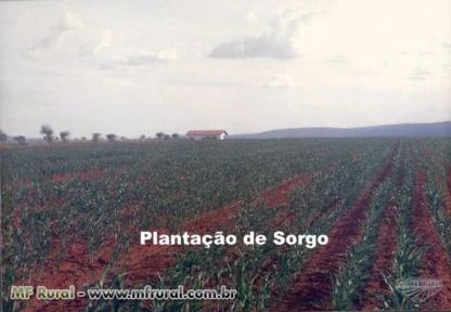Fazenda 69 Ha em Itaguaçu da Bahia parcelas de R$ 1.000 fixas