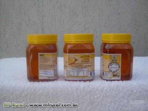 Mel de abelhas (apis) - puro