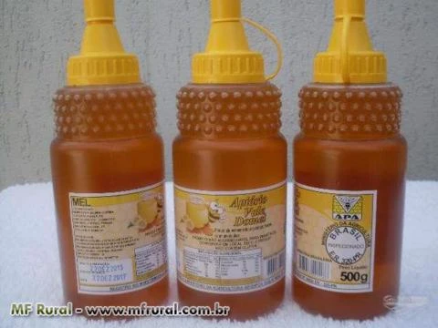 Mel de abelhas (apis) - puro