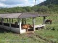 Fazenda em Miracatu, SP 8 km da Rodovia Régis Bittencurt e 60 km de Peruíbe