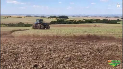 CORRENTE INCORPORADORA DE ELOS CRUZADOS COM FACAS Imagem CORRENTE INCORPORADORA DE ELOS CRUZADOS COM FACAS