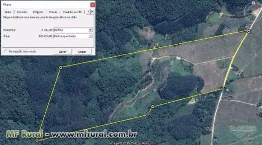 Vende-se Sitio / Area com Reflorestamento de Eucalipto