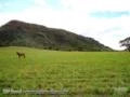 Duas Excelentes Fazendas vizinhas as margens do Rio Grande