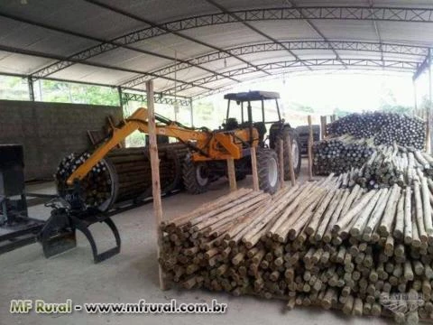 Madeira de eucalipto tratado para construção