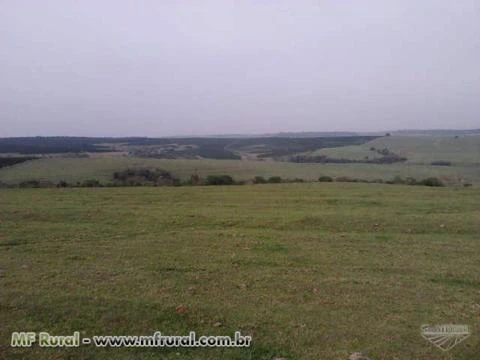 Fazenda Avare Região