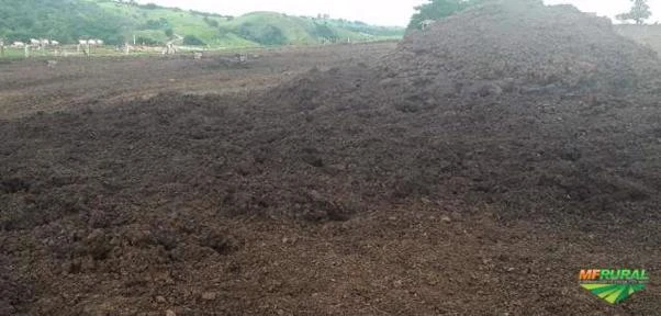 VENDA PERMANENTE DE ESTERCO BOVINO