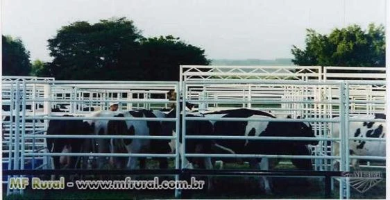 Locação/Aluguel de Estrutura Completa para Leilões Rurais, Palcos de Gado, Shows, Currais, Geradores