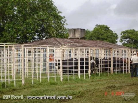 Locação/Aluguel de Estrutura Completa para Leilões Rurais, Palcos de Gado, Shows, Currais, Geradores