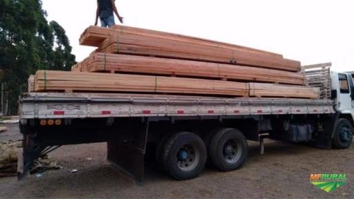 VIGAMENTO DE EUCALIPTO HIBRIDO Imagem VIGAMENTO DE EUCALIPTO HIBRIDO