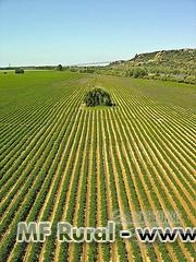 PROCURO FAZENDAS Imagem PROCURO FAZENDAS