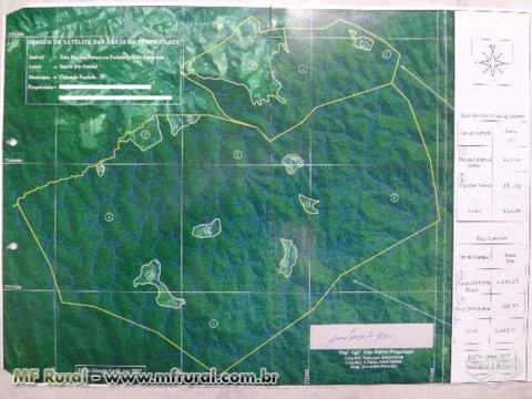 Área de Floresta para Compensação Reserva Legal - Eldorado