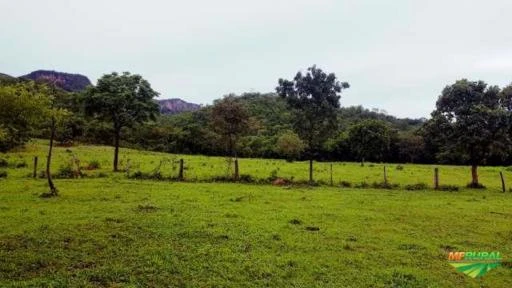Fazenda em município de Itapuranga a 145 km de Goiânia ,