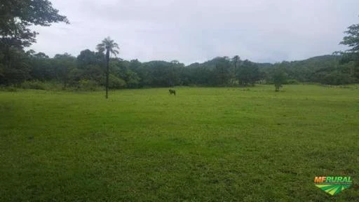 Fazenda em município de Itapuranga a 145 km de Goiânia ,