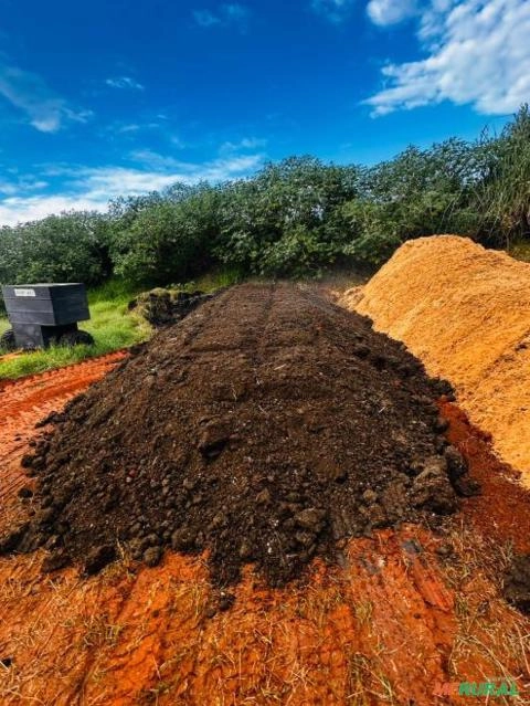 Esterco de Galinha Poedeira PURO Imagem Esterco de Galinha Poedeira PURO
