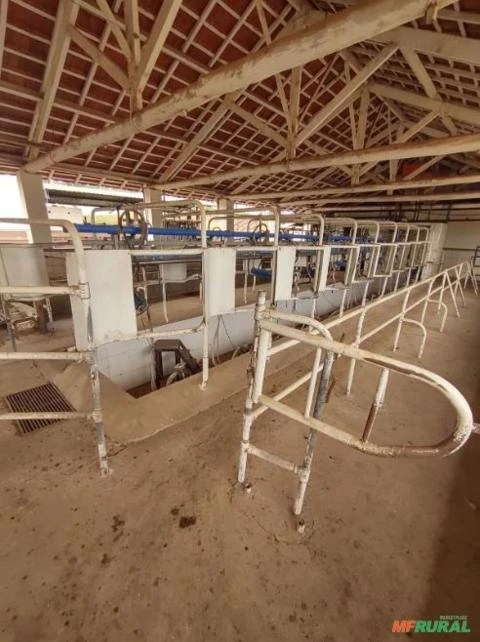 Ordenhadeira Duplo 10 DeLaval Imagem Ordenhadeira Duplo 10 DeLaval