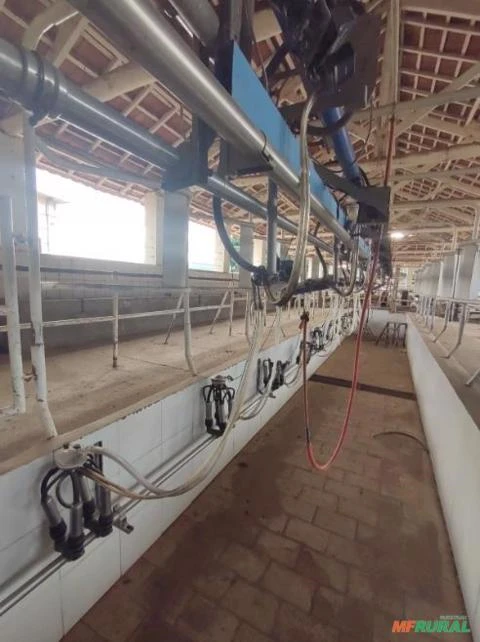 Ordenhadeira Duplo 10 DeLaval