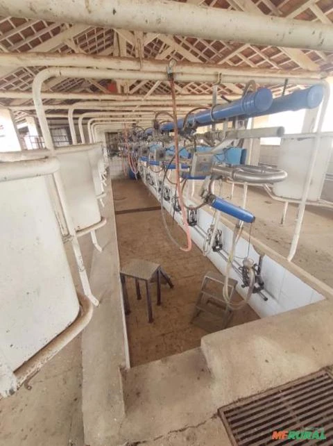 Ordenhadeira Duplo 10 DeLaval