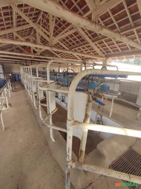 Ordenhadeira Duplo 10 DeLaval