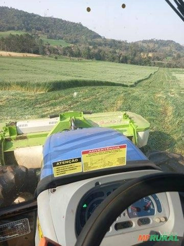 Serviço de Fenação e Pré-Secado com Alta Qualidade Imagem Serviço de Fenação e Pré-Secado com Alta Qualidade